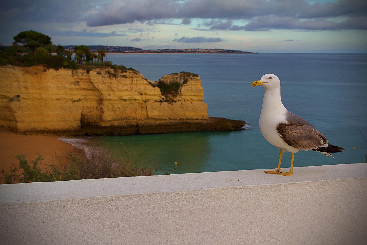 View of Albufeira