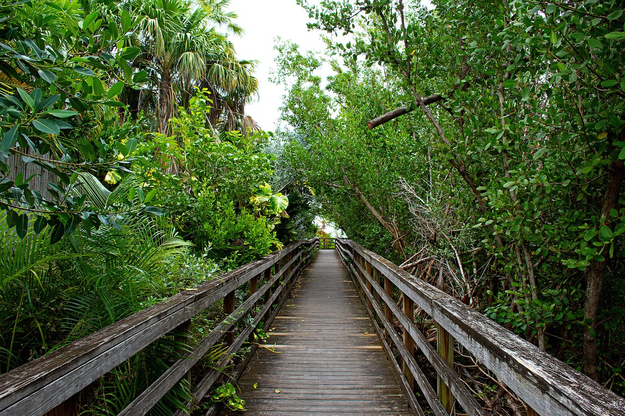 View of Key West