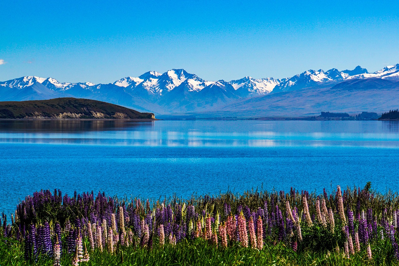 View of Lake Tekapo