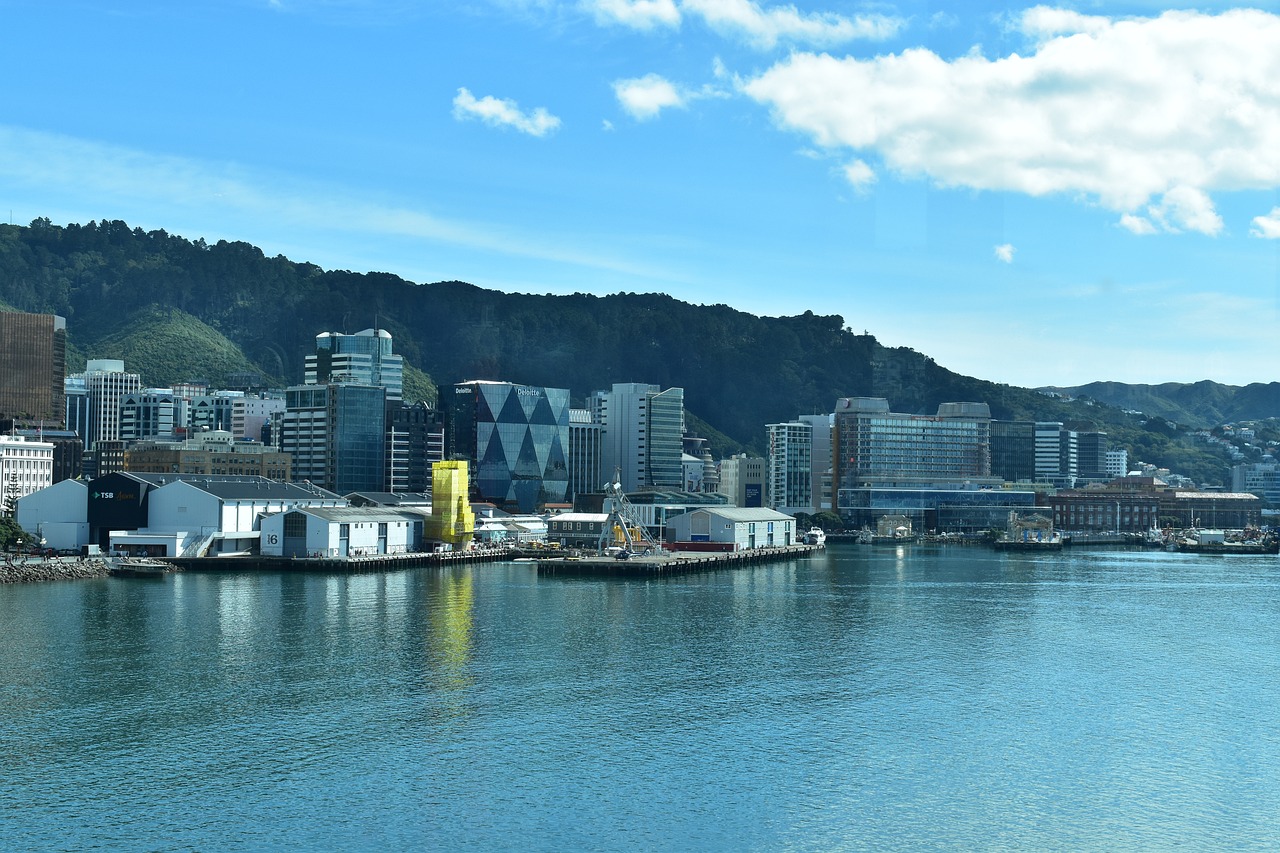 View of Wellington