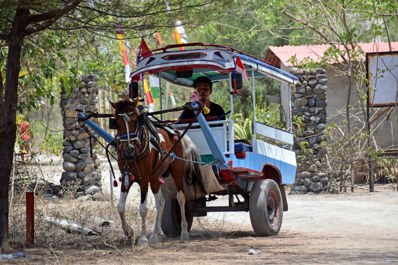 View of Gili Islands