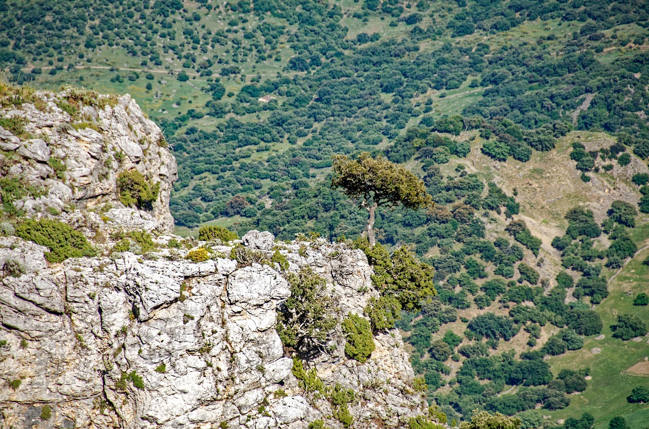 View of Puerto Viejo de Limón