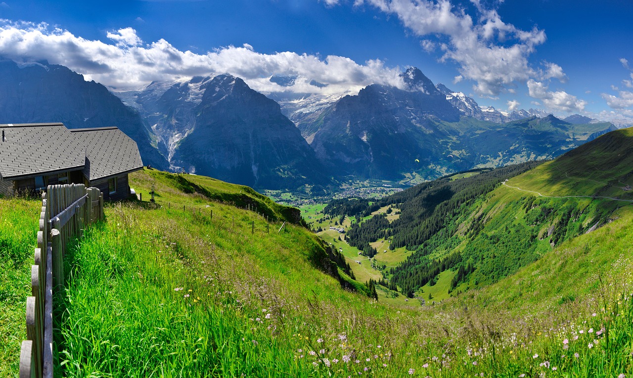 View of Grindelwald