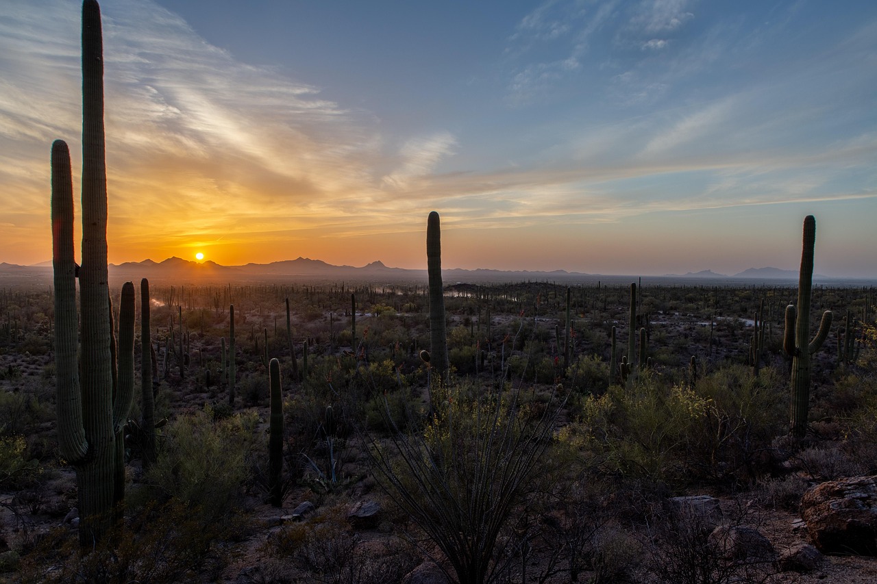 View of Tucson