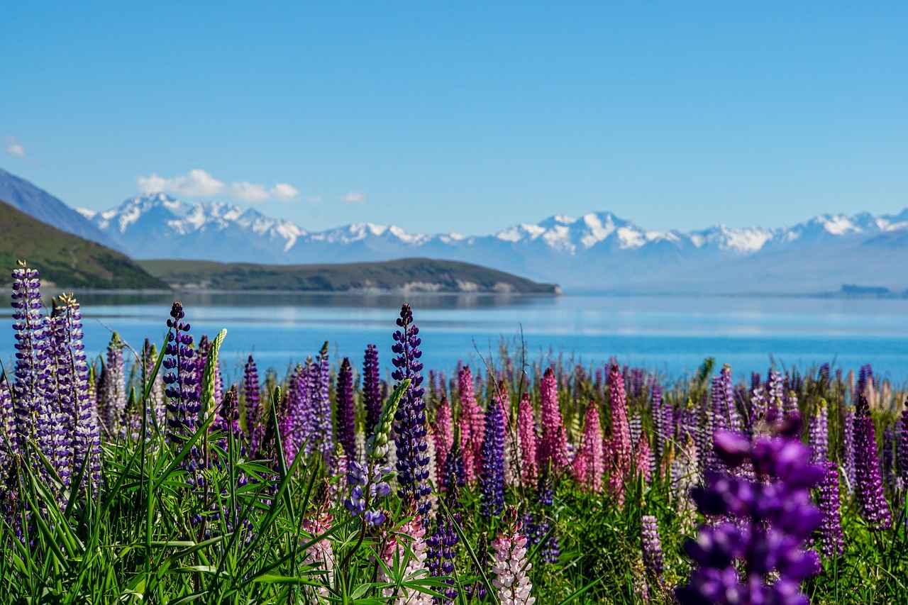 View of Lake Tekapo