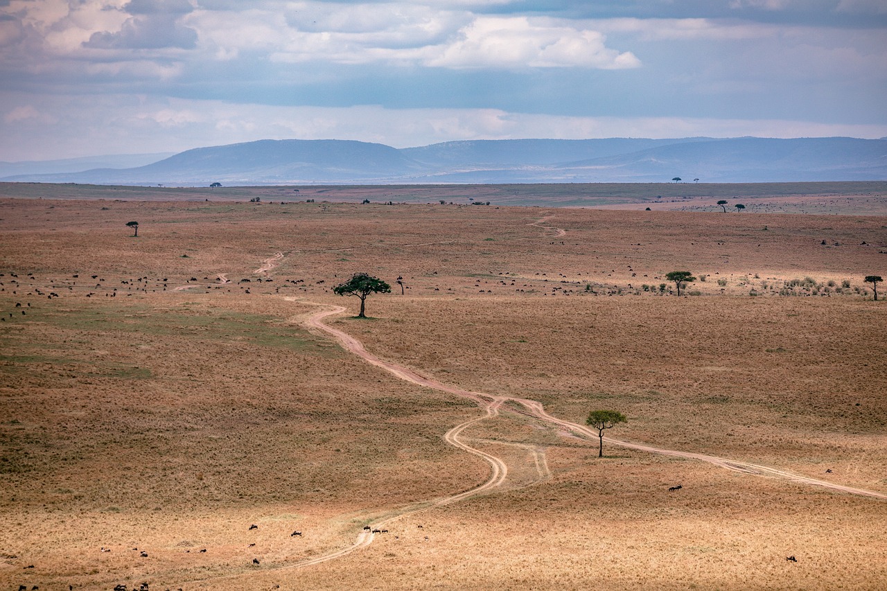 View of Maasai Mara