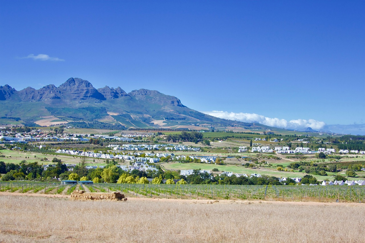 View of Stellenbosch