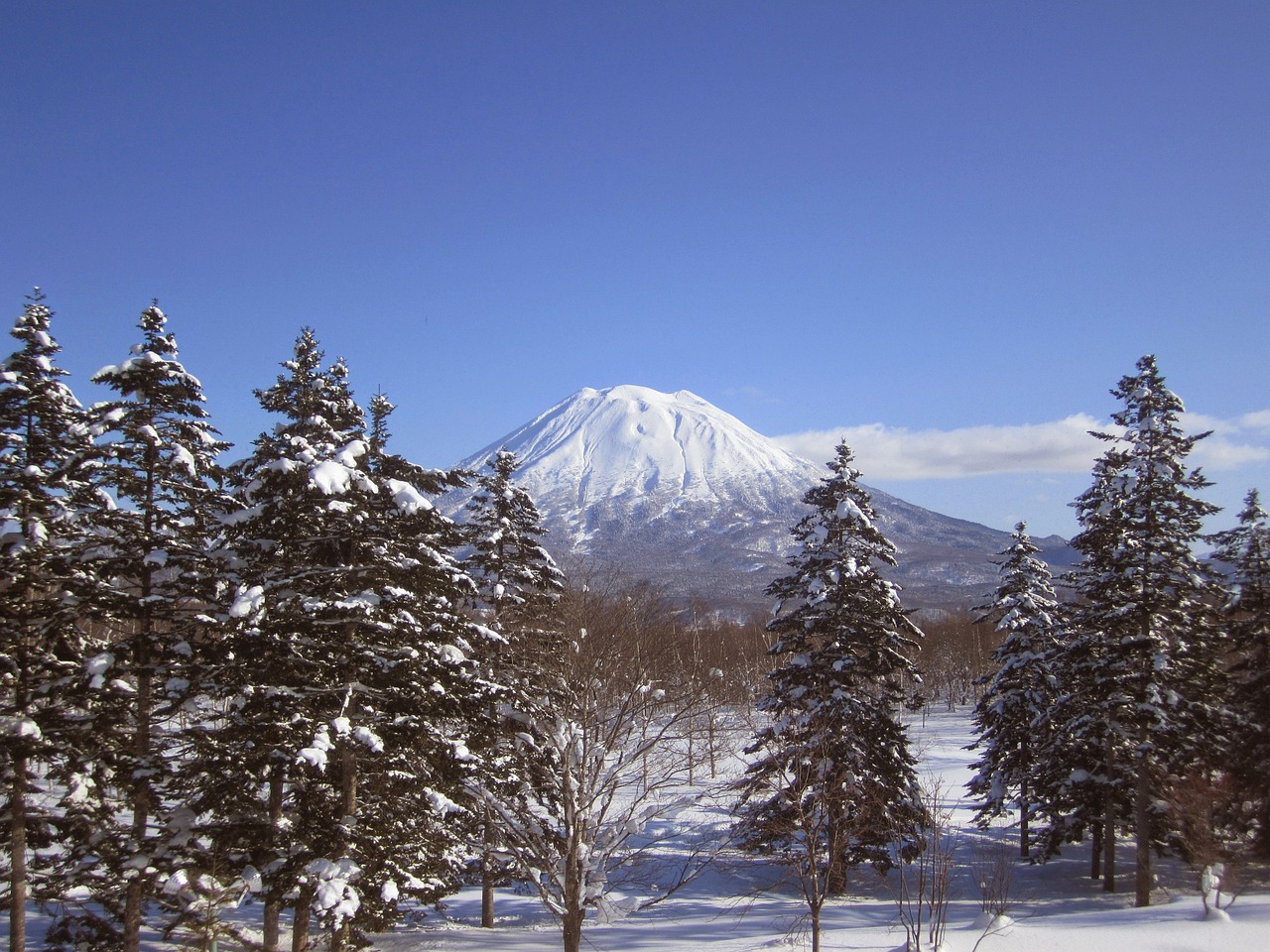 View of Niseko