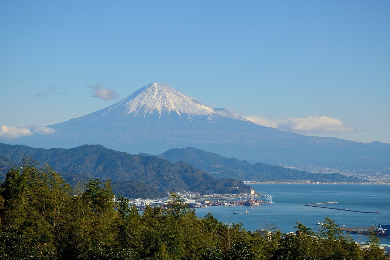 View of Shizuoka