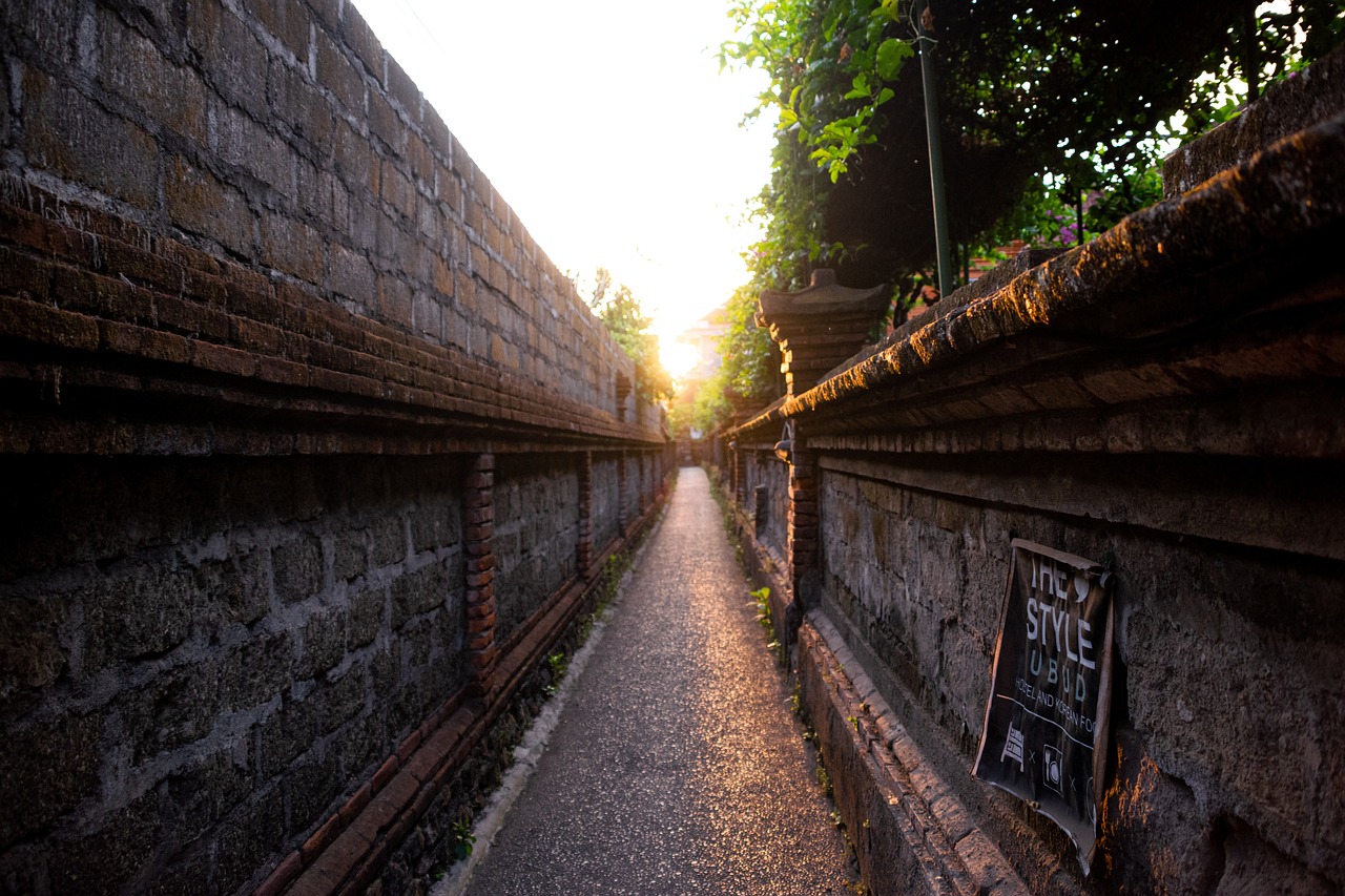 View of Ubud