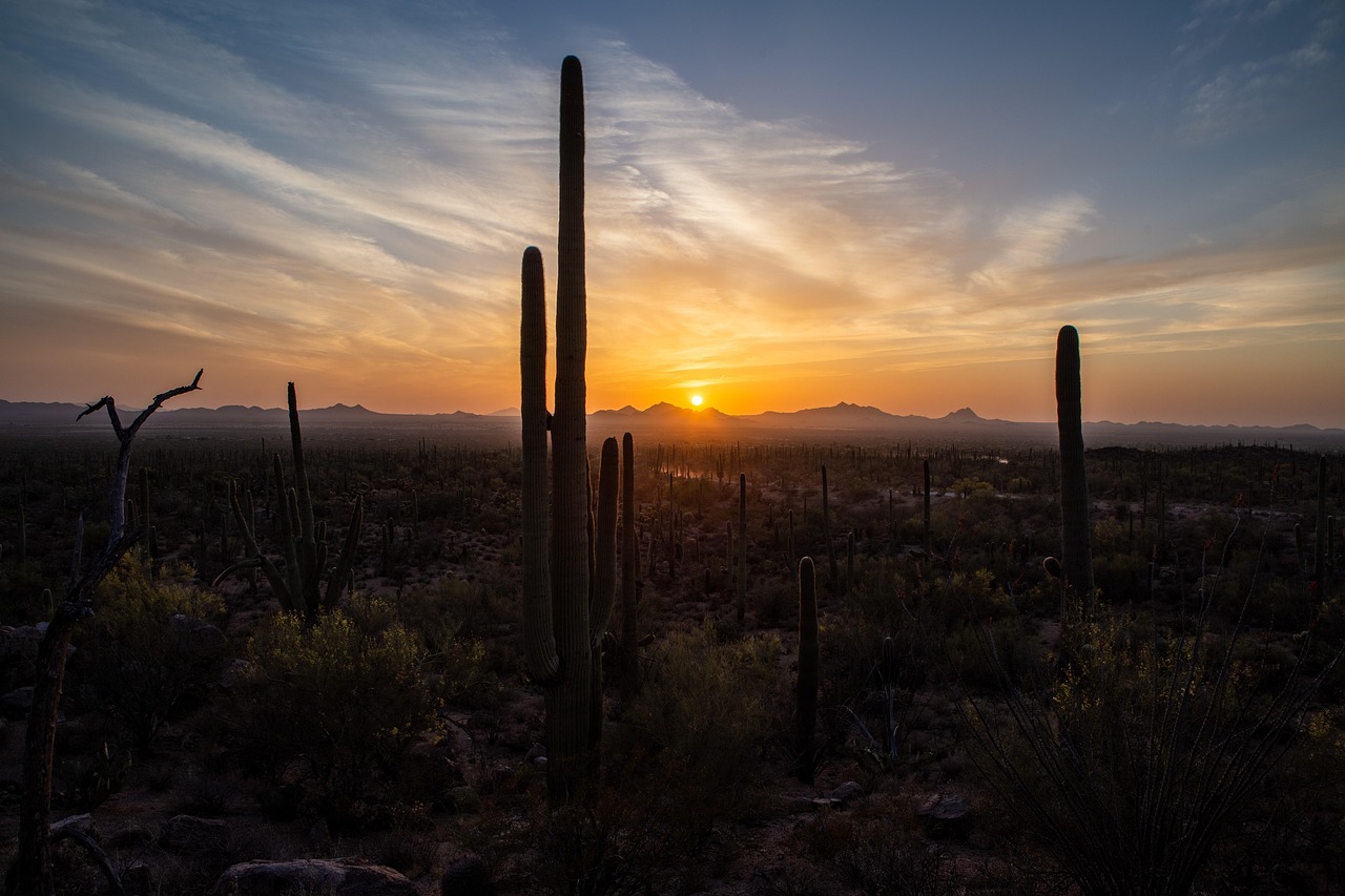 View of Tucson