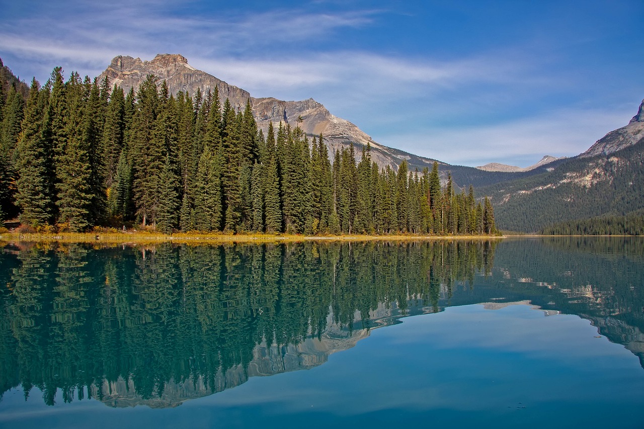 View of Jasper National Park