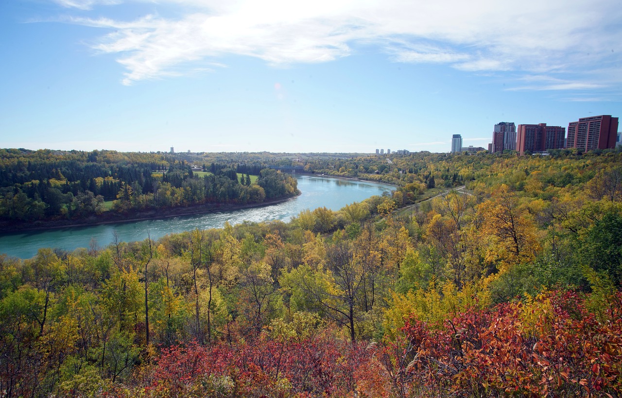 View of Edmonton