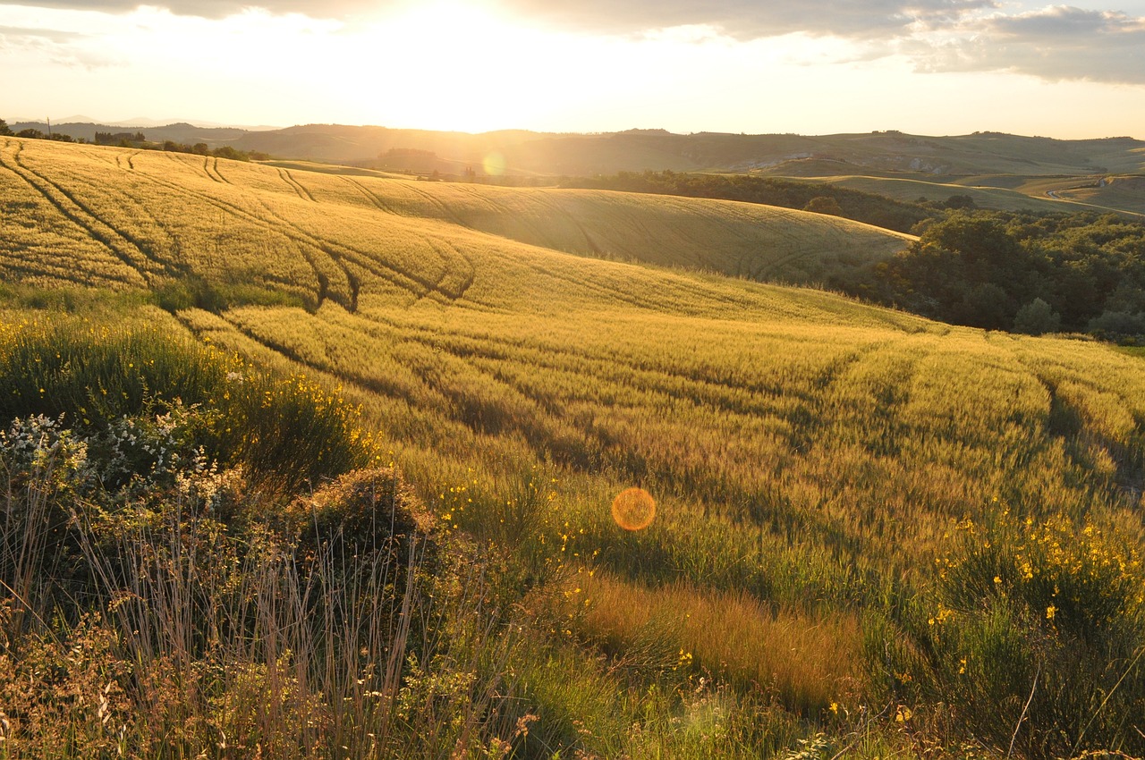 View of Tuscany