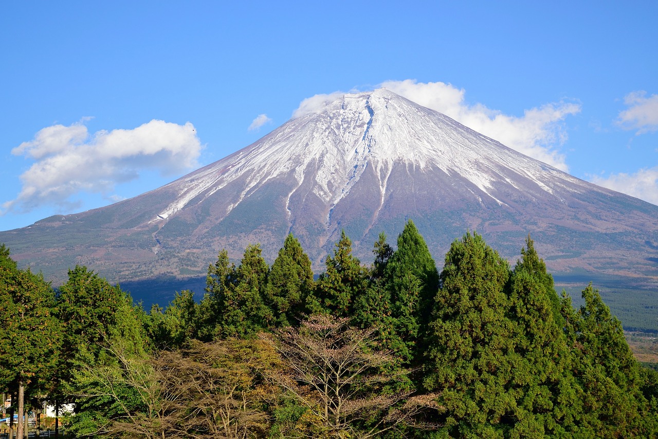 View of Shizuoka