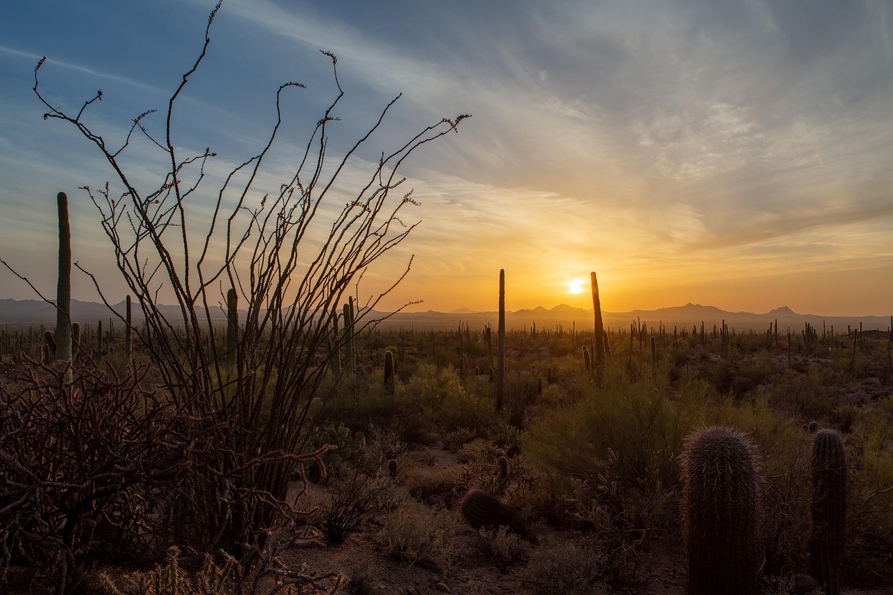 View of Tucson