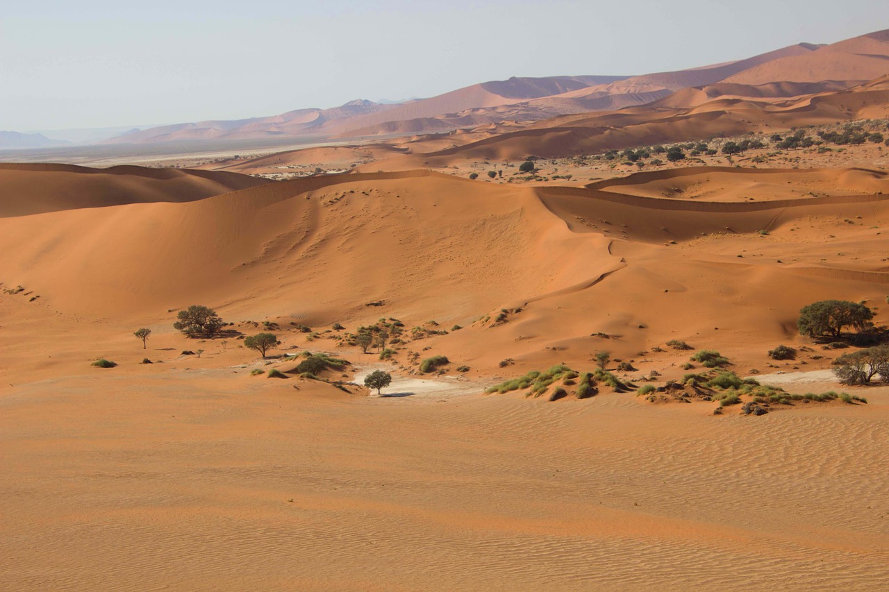 View of Namib Desert