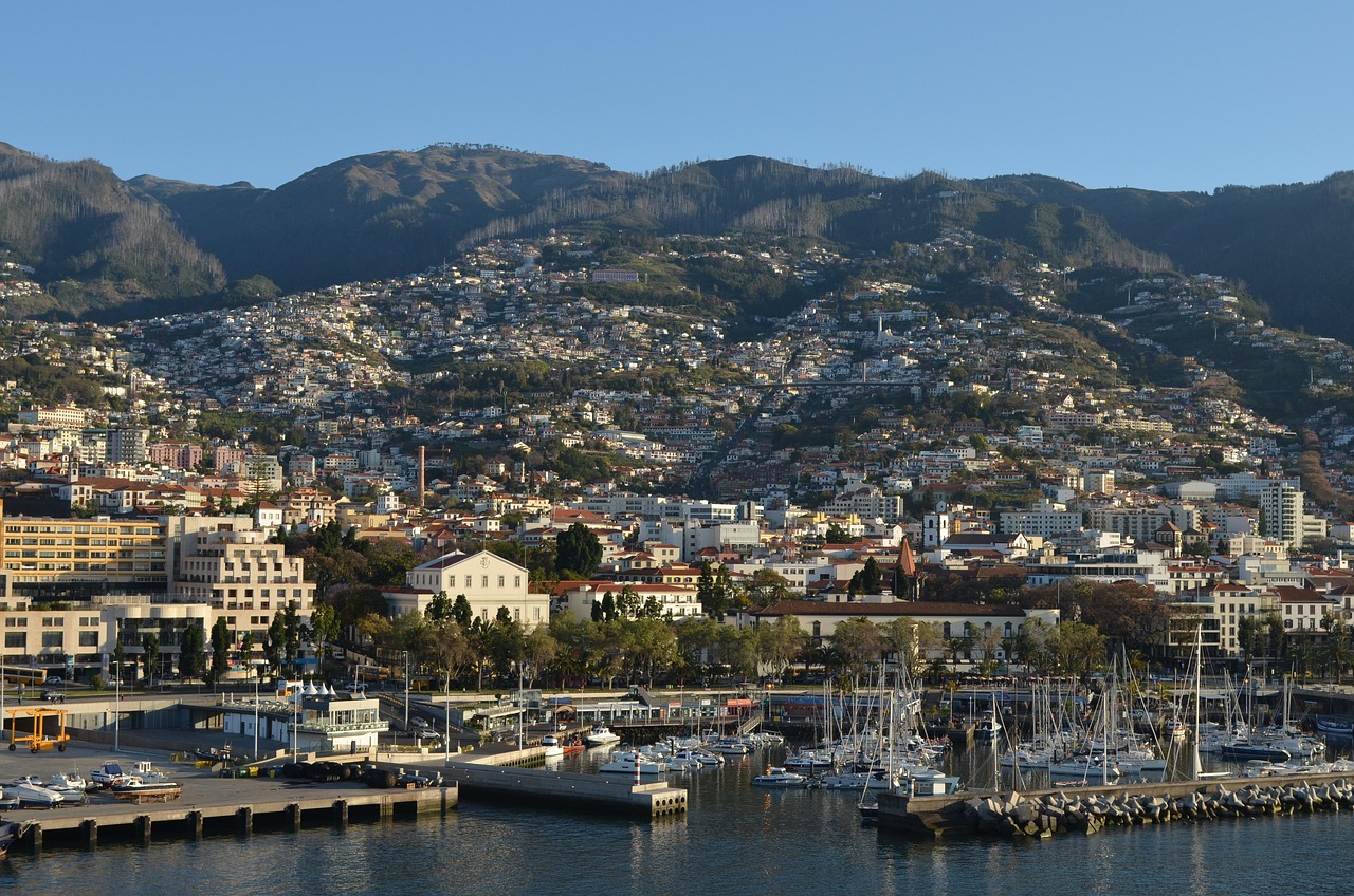View of Madeira (Funchal)
