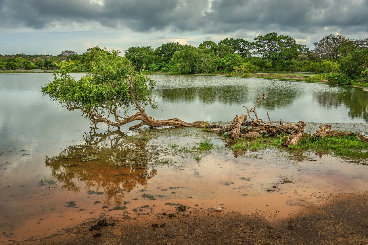 View of Yala National Park