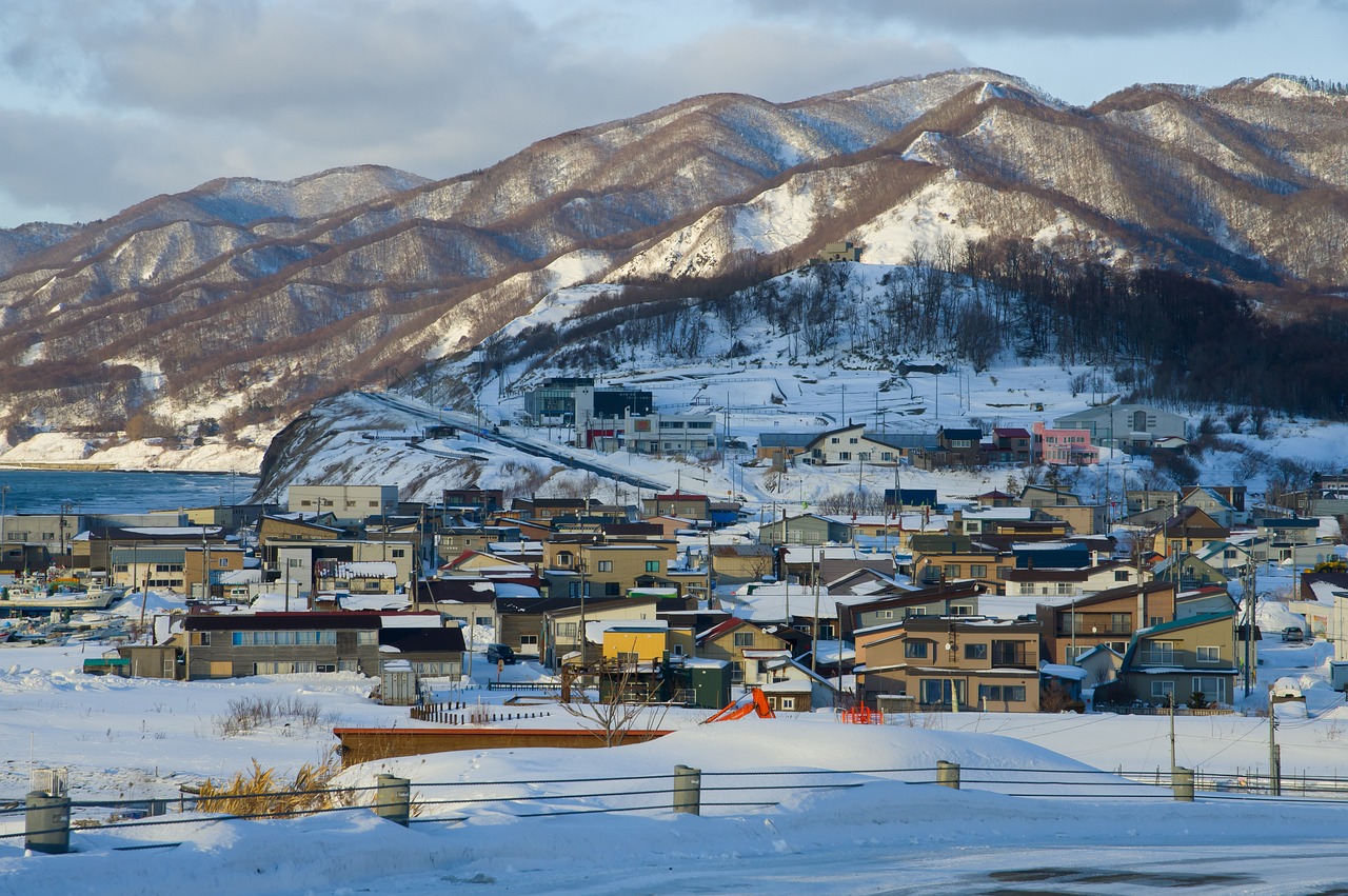 View of Sapporo