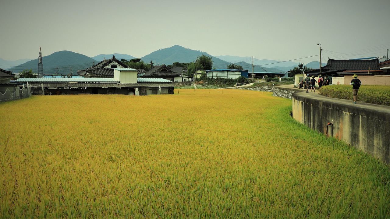 View of Gyeongju