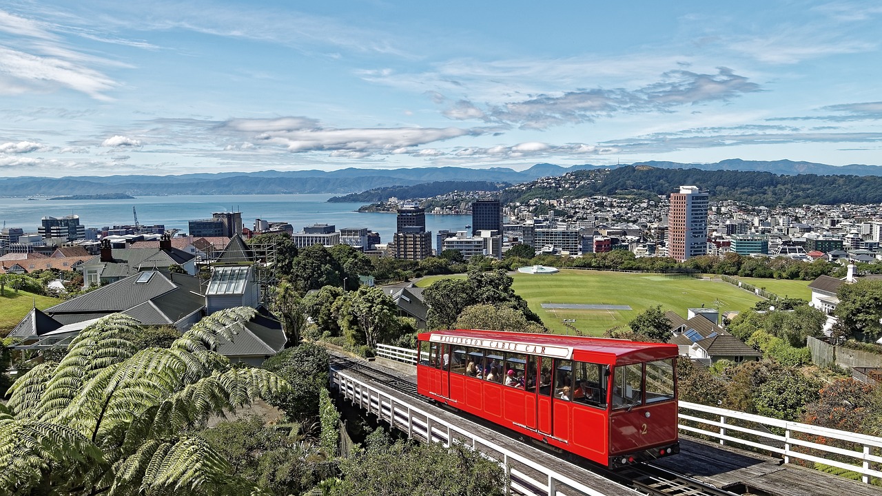 View of Wellington