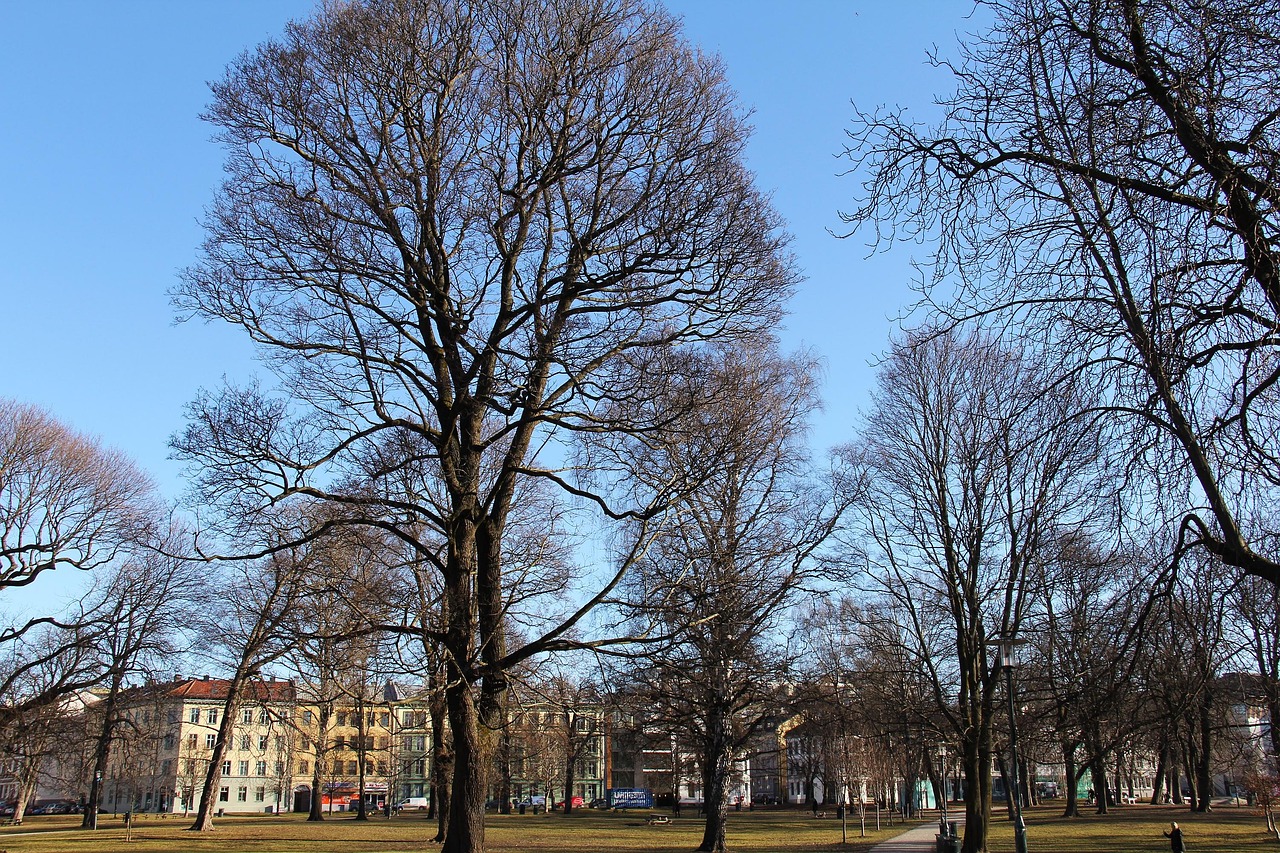 View of Grünerløkka