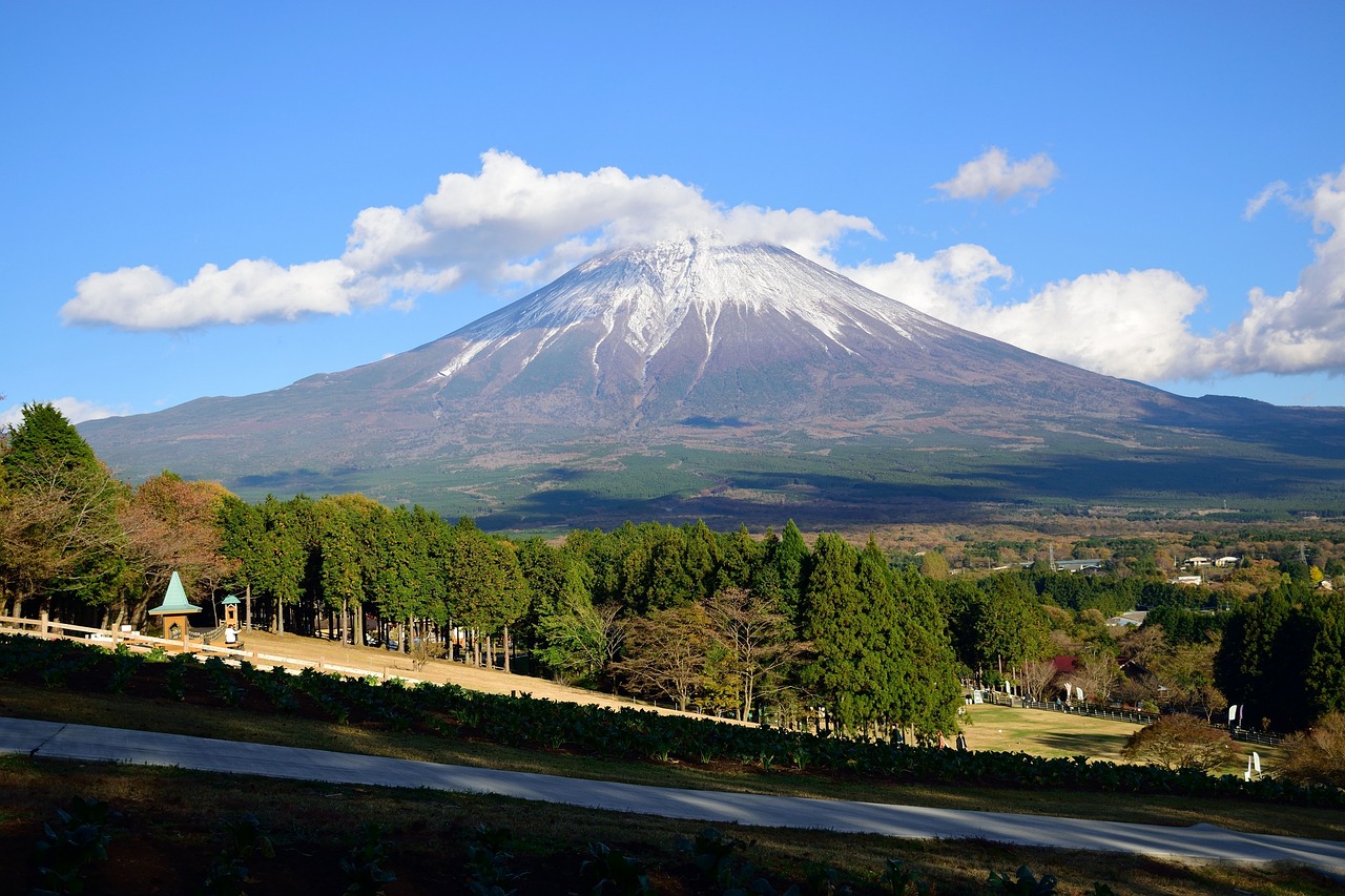 View of Shizuoka