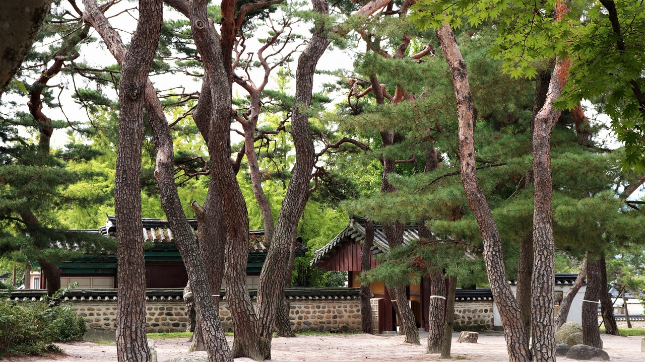 View of Gyeongju