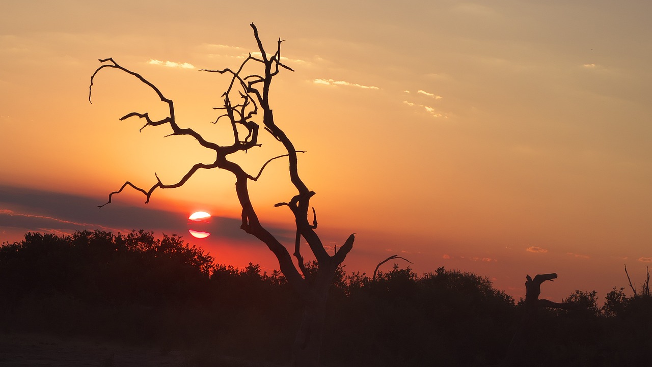 View of Chobe National Park