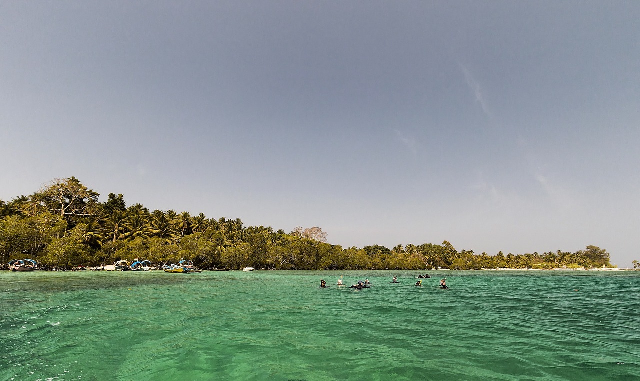 View of Havelock Island