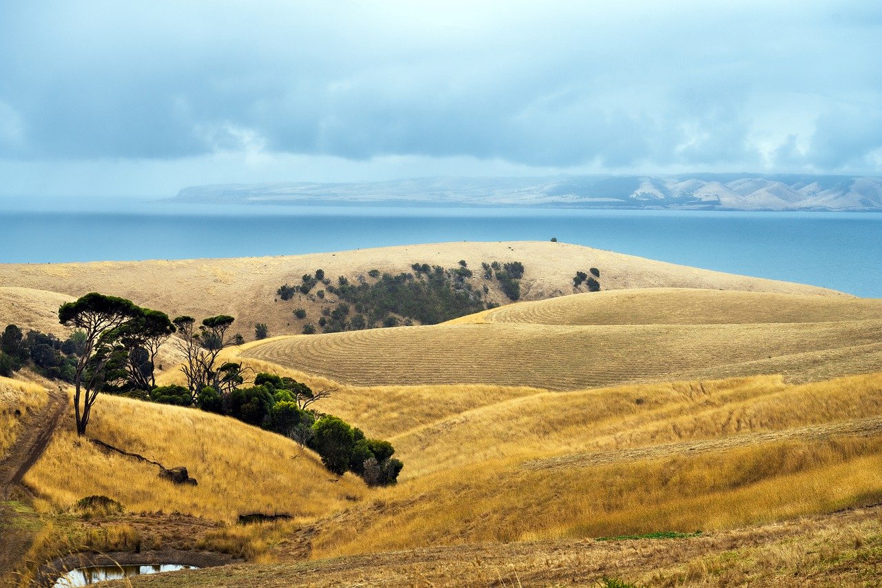View of Gold Coast