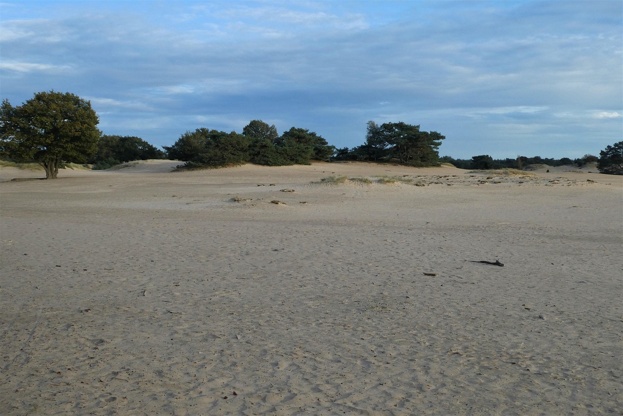 View of Drents-Friese Wold