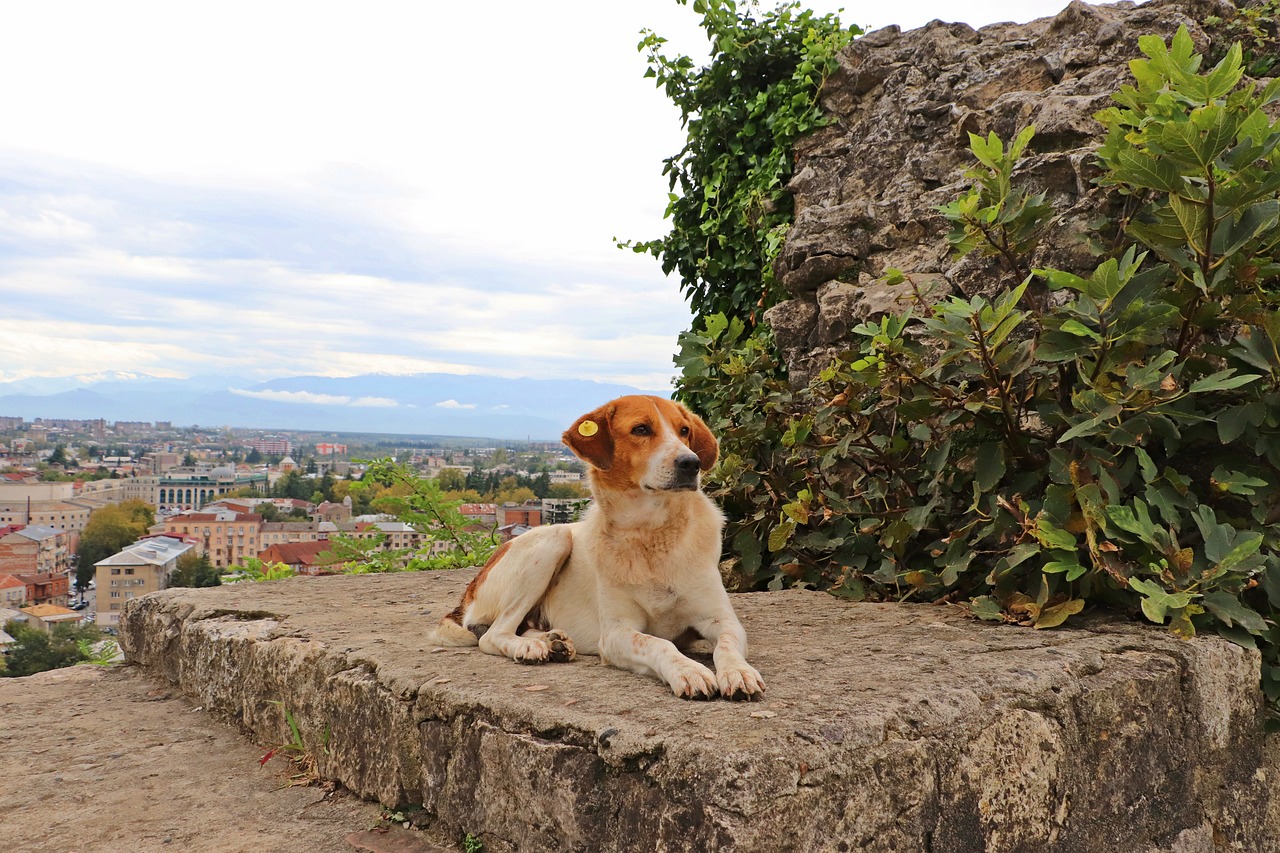 View of Kutaisi
