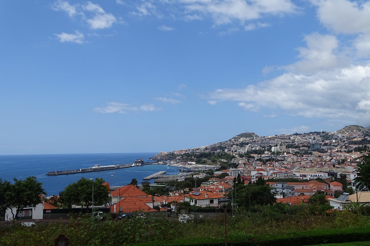 View of Madeira (Funchal)