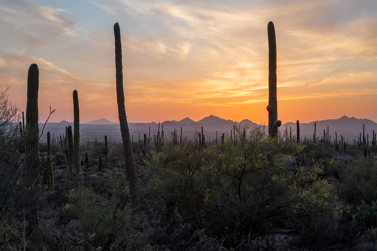 View of Tucson