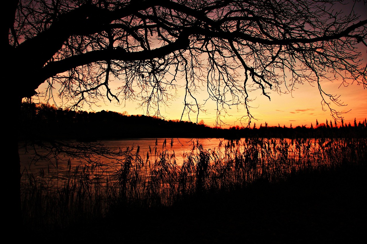 View of Ubstadt-Weiher