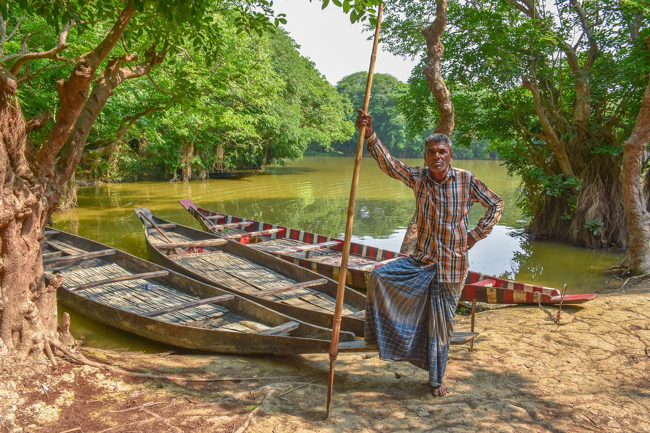 View of Sundarbans