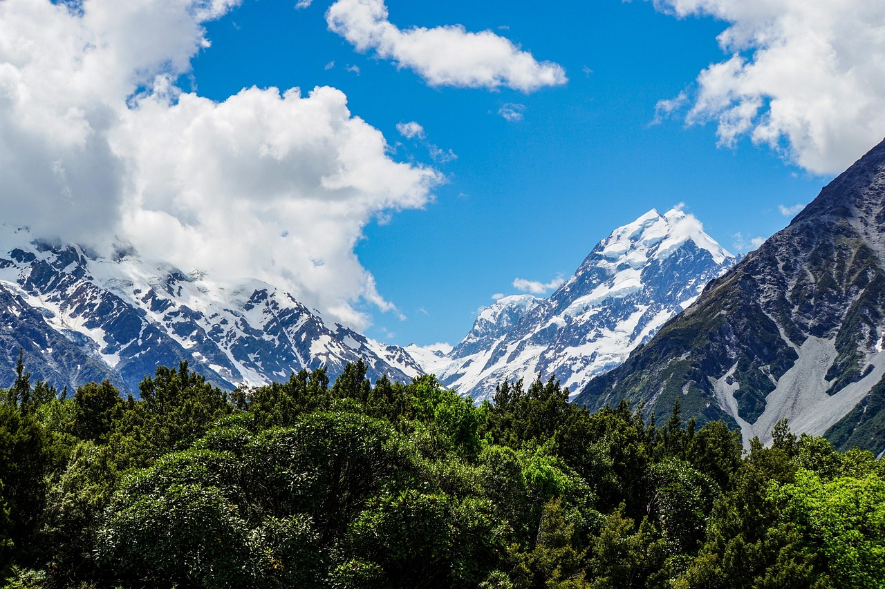 View of Aoraki Mackenzie