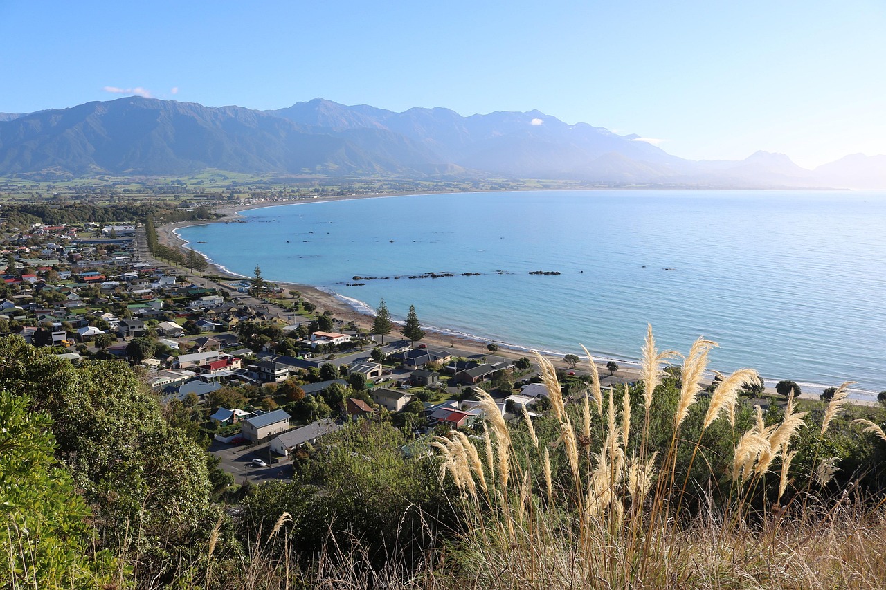 View of Kaikoura