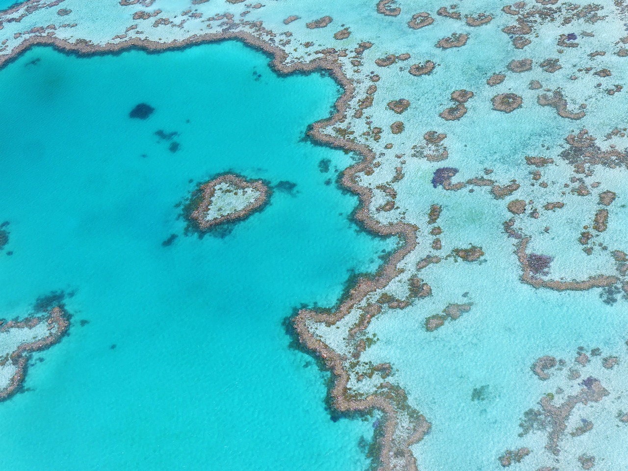 View of Great Barrier Reef