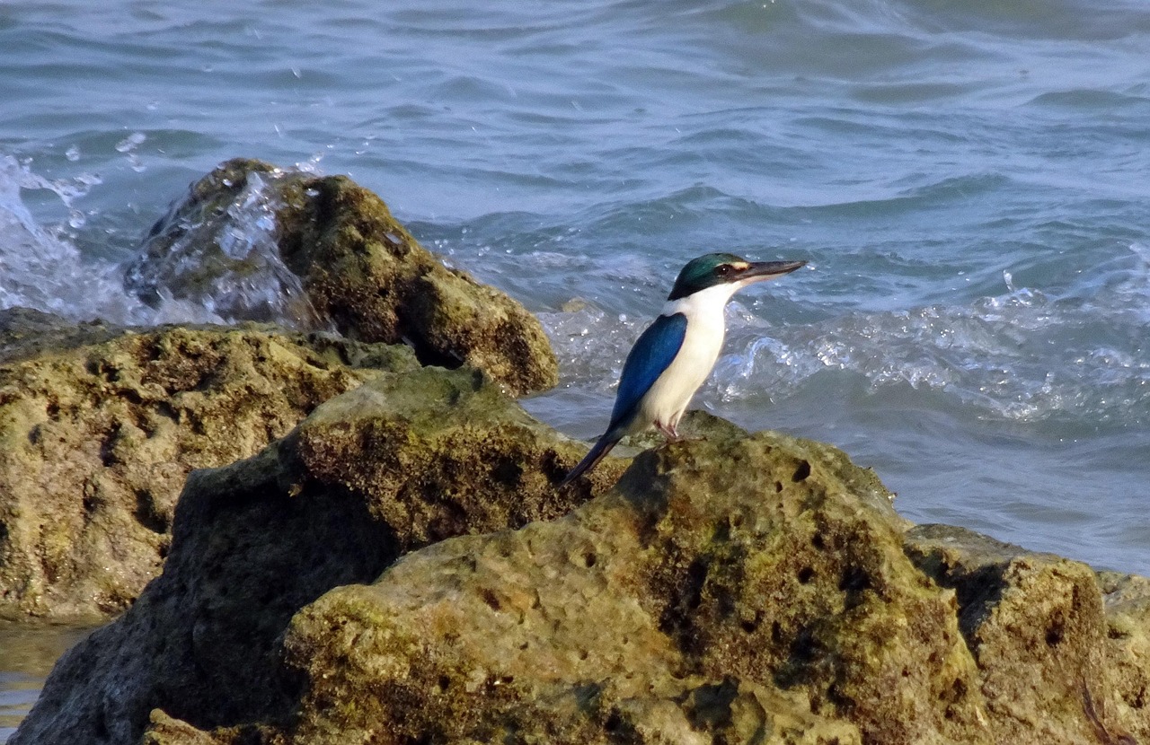 View of Havelock Island