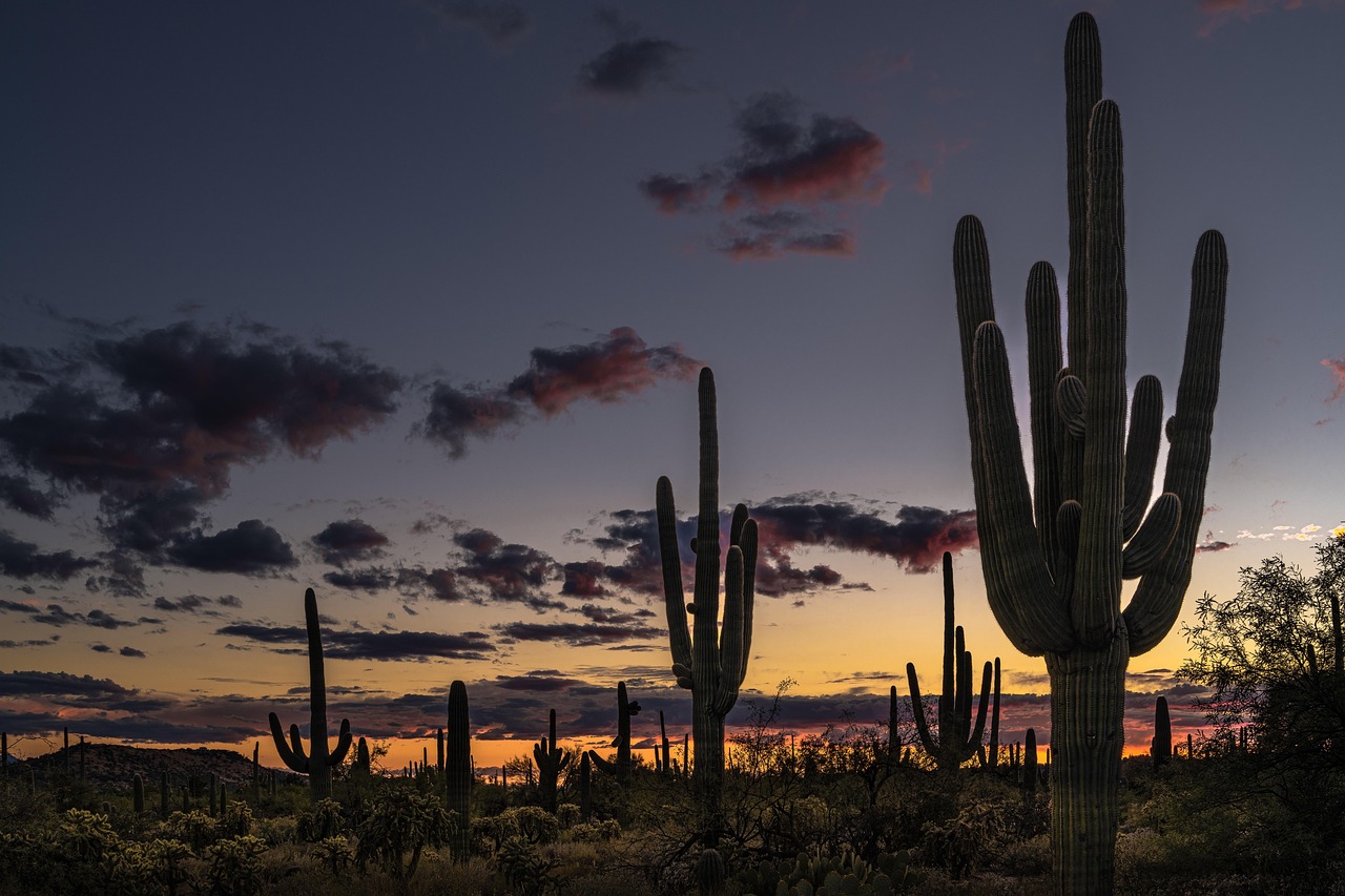 View of Tucson