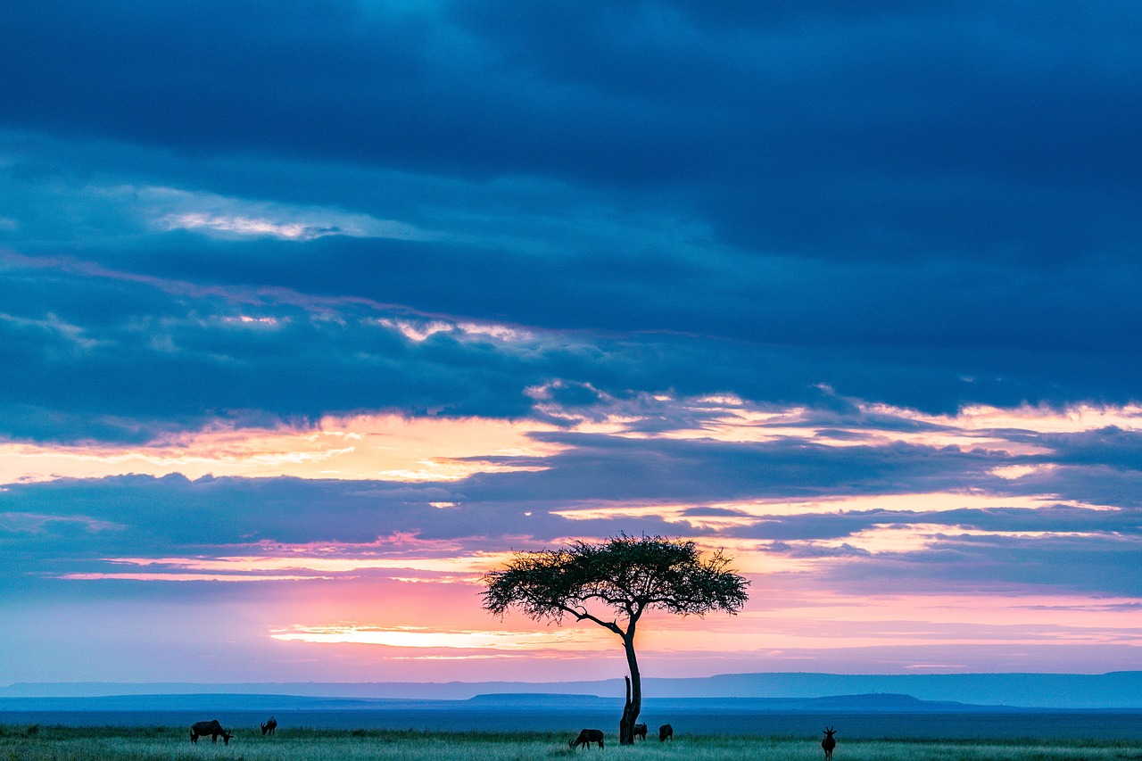 View of Maasai Mara