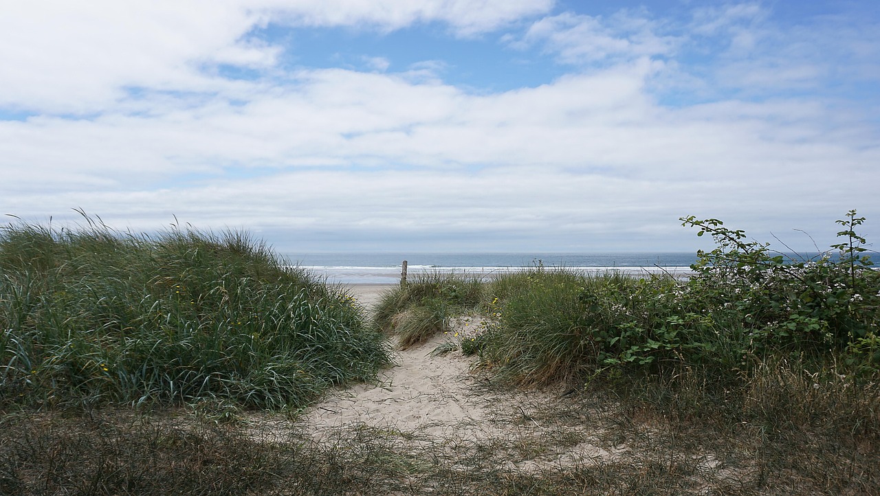 View of Manzanita