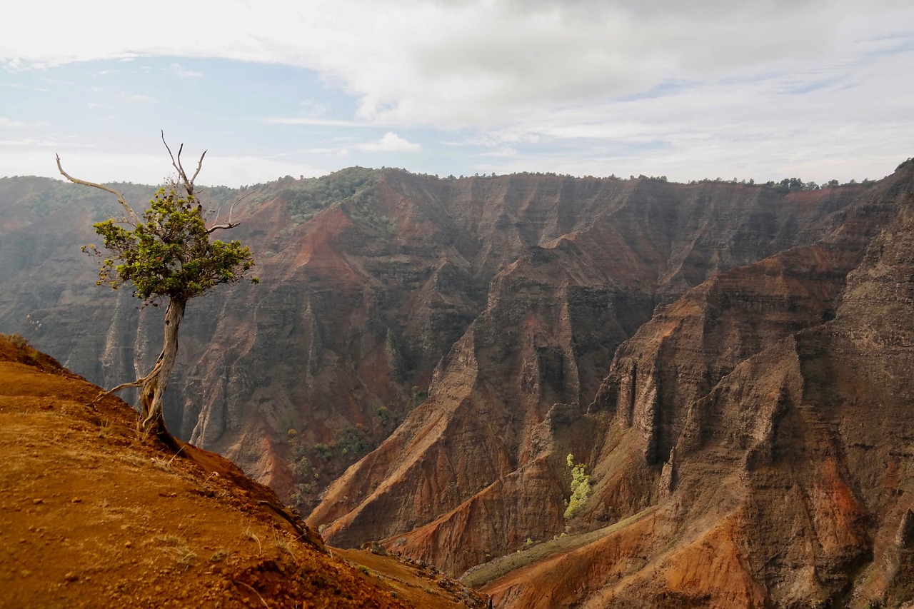 View of Kauai