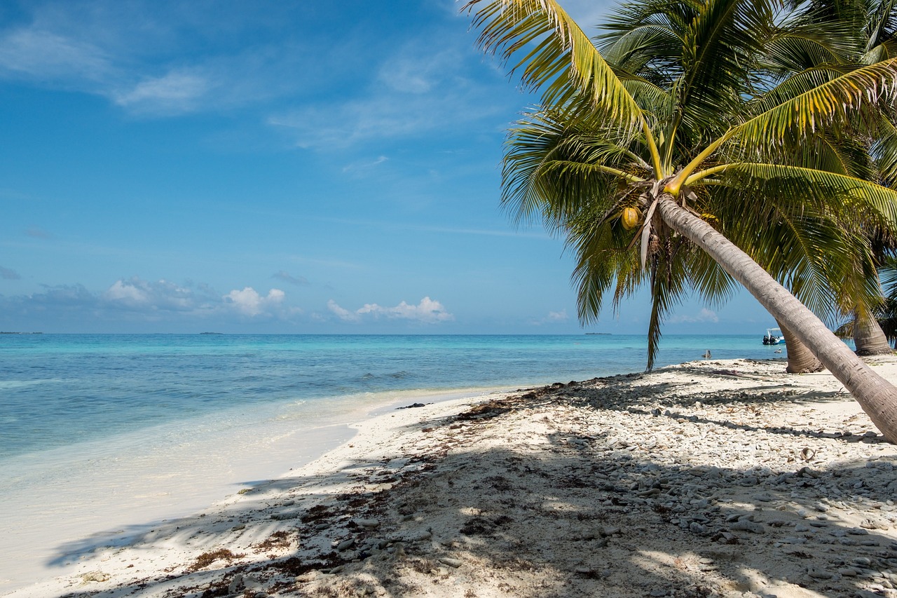 View of Ambergris Caye