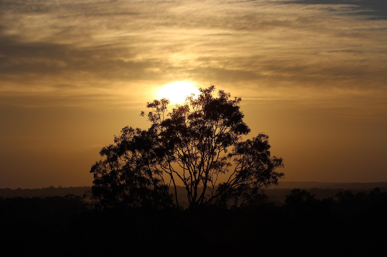 View of Barossa Valley