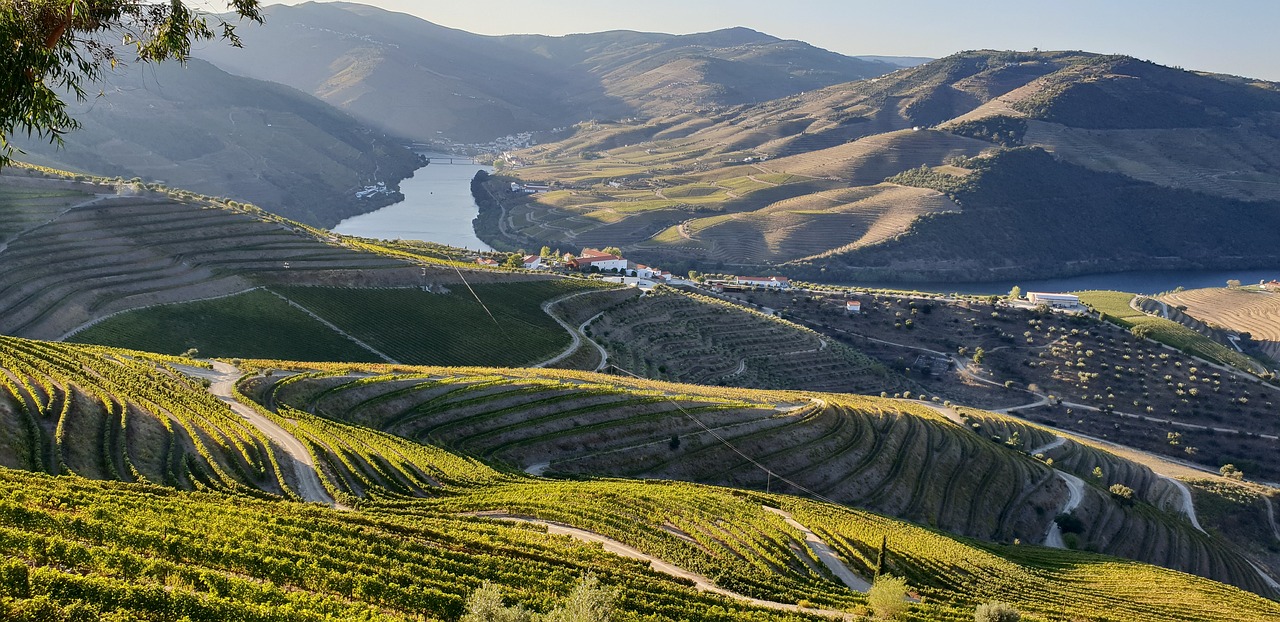 View of Douro Valley