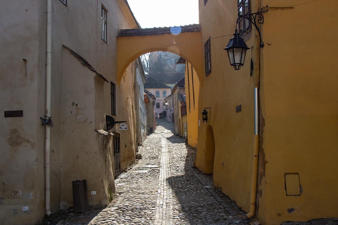 View of Sighișoara
